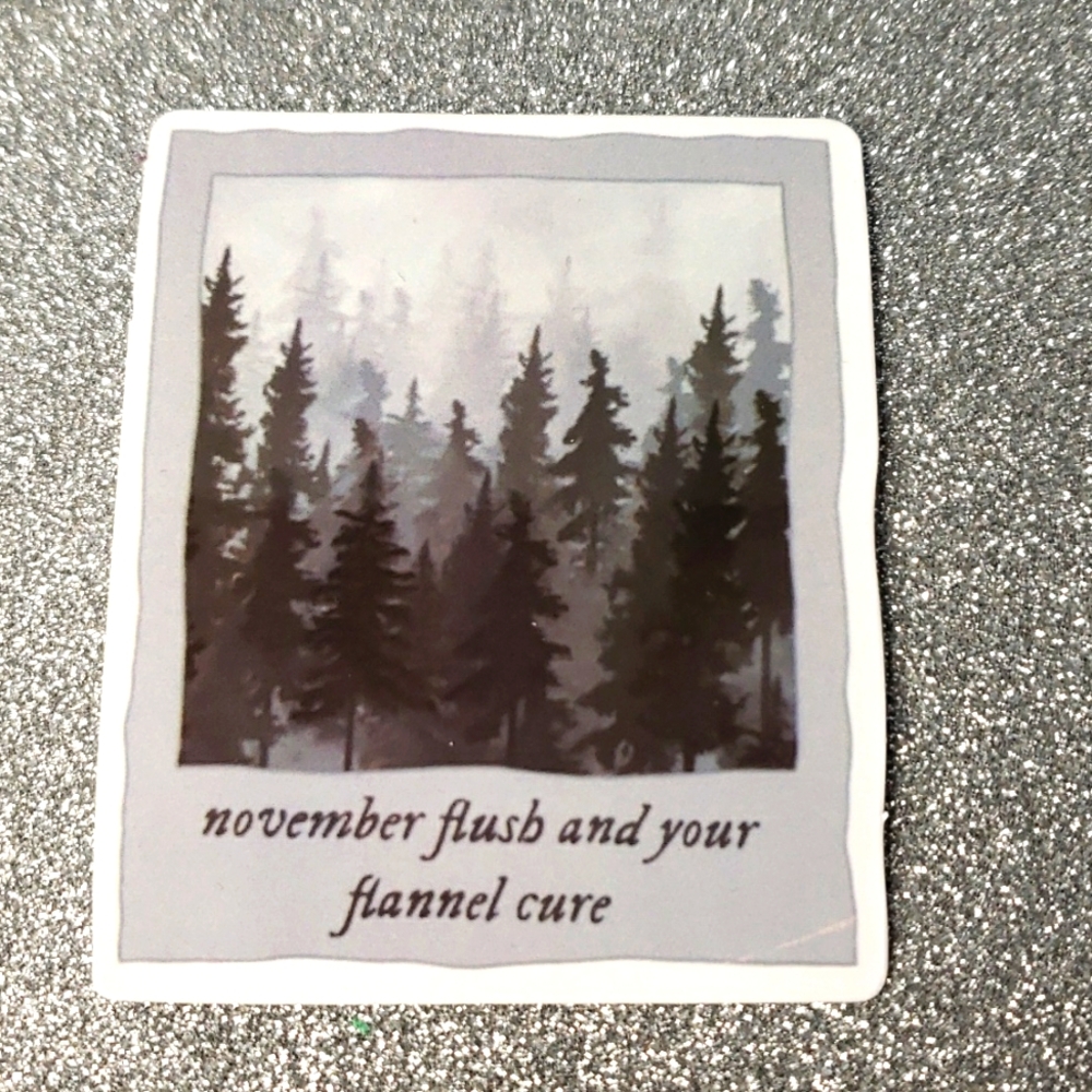 10/$10 Taylor Swift Waterproof Sticker evermore